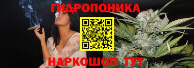 спайс Дубна