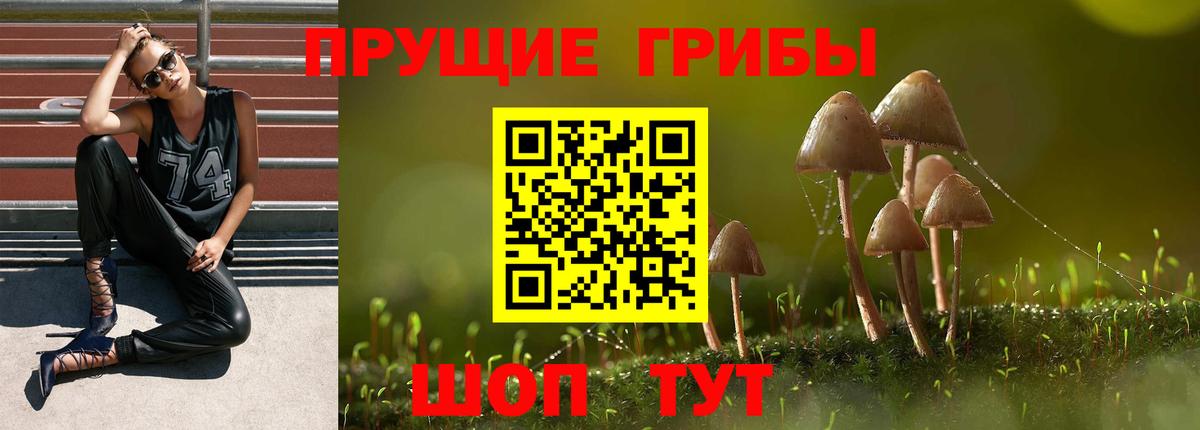 Галлюциногенные грибы MAGIC MUSHROOMS Ликино-Дулёво